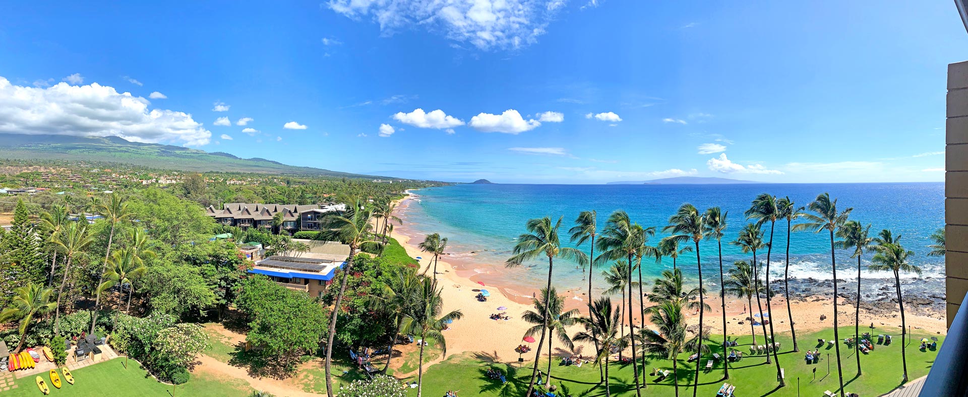 The image shows a panoramic view of a tropical beach scene with palm trees, blue water, sandy shore, and clear skies.