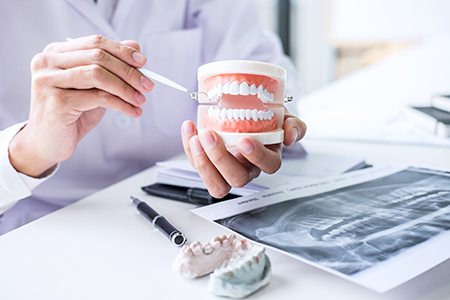 The image shows a dentist holding a dental model with a person s hand pointing at an area of interest on the model, with the model placed on a table surrounded by various dental equipment and images.