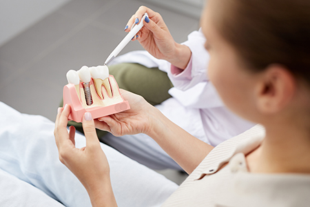 A dental hygienist holding a model set of teeth with tools, assisting a patient during a dental appointment.